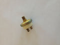 Bulb 273541M91